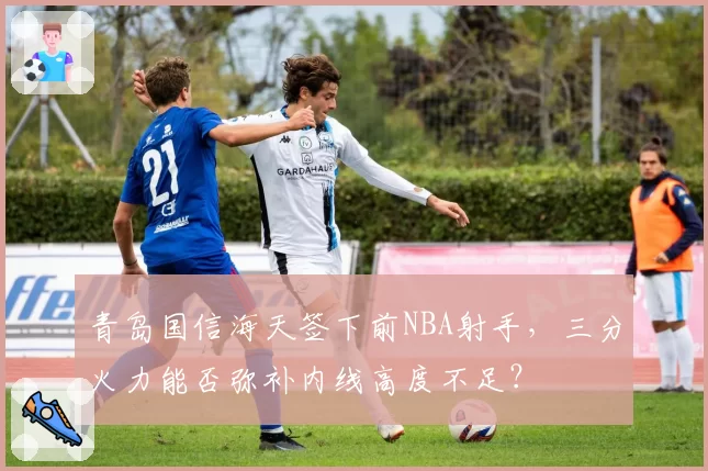 青岛国信海天签下前NBA射手，三分火力能否弥补内线高度不足？